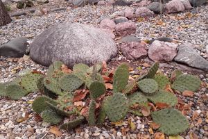 upload_2020_06_28_00_06_44_667