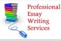Article & Essay/Paper Writing Services