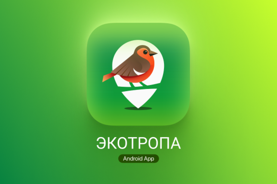 Разработка иконок / логотипов 6 000 руб.  за 7 дней.. Dmitriy Konash