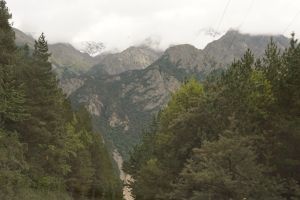 DSC08555