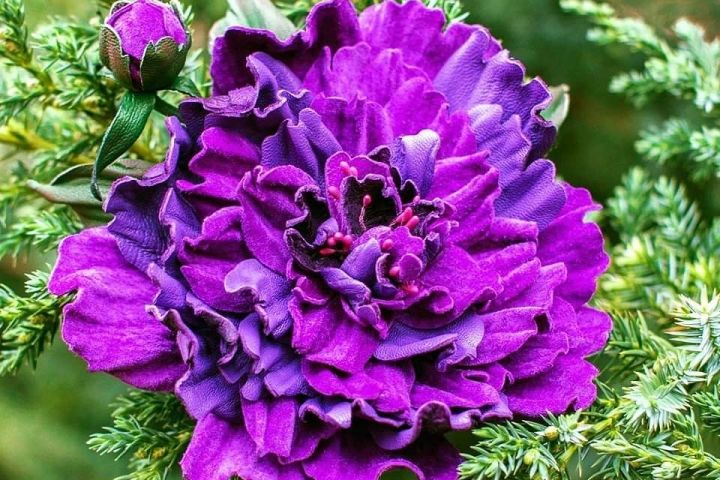 Брошь-пион из натуральной кожи - 1391289