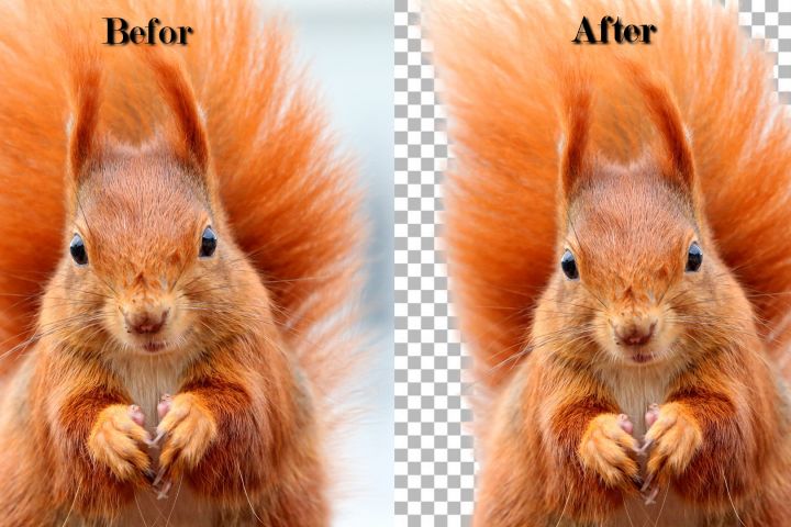 Удаление фона с фотографии - 1406531