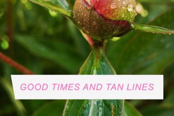 Летние фото