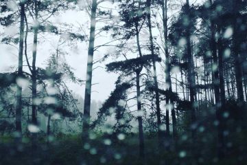 Летние фото