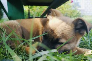 7B271FFC-4472-450A-8A67-484969858ABF