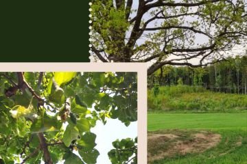 Сторис в Instagram 