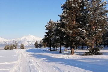  "Снежный декабрь" 