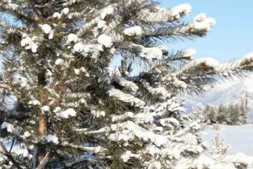 Снегопад в России