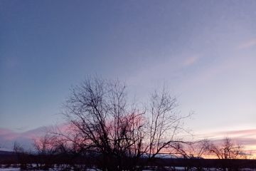 Пробуждение