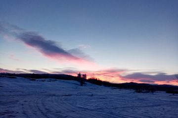 Дорога в лес