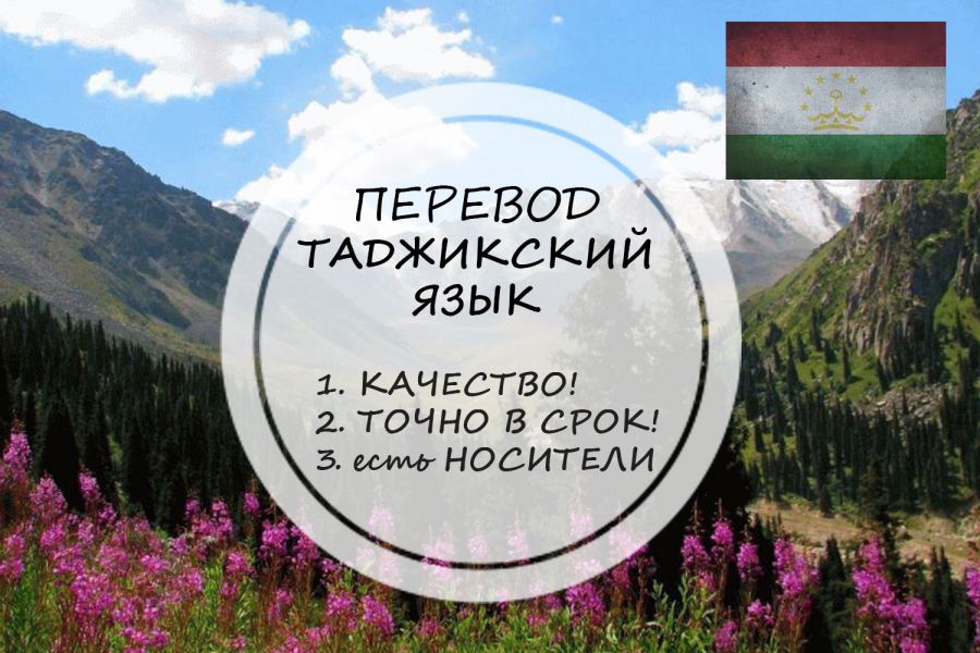 Перевод с таджикского или на таджикский 550 руб. за 1 день.. Юлия Шведчикова