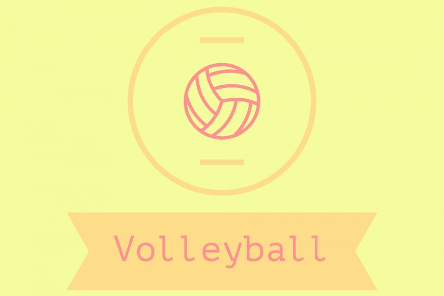 Продаю: Логотип про волейбол -   товар id:2820