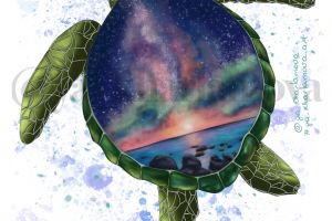 11CEB0A5-EBD1-4669-9827-1DA923AF5F0F