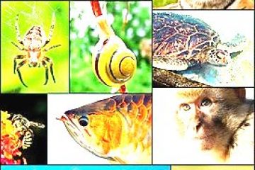 Делаю фотографии разной тематики. Я их редактирую, обрабатываю, меняю размер