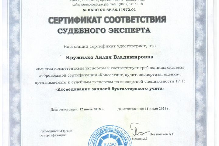 Бухгалтерская, экономическая экспертиза - 1457952