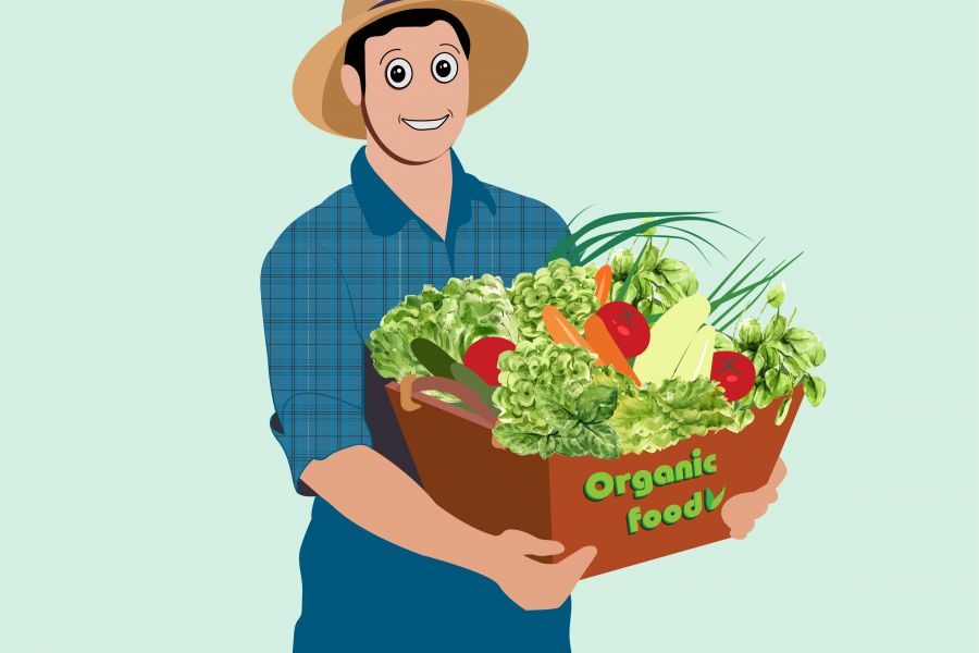 Продаю: Organic Food illustration