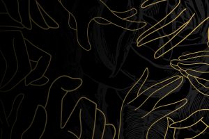 Дизайн без названия