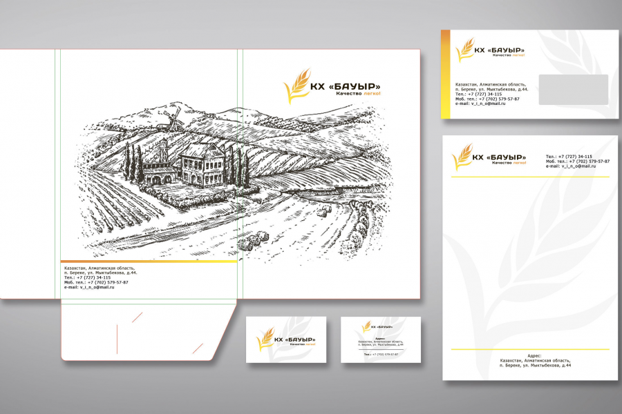 Дизайн фирменного стиля для среднего и малого бизнеса 7 500 руб.  за 6 дней.. Бауыржан Акжолтаев