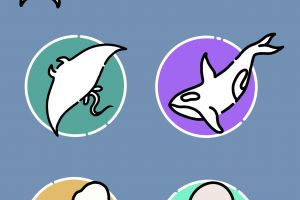 6DF7AD42-300F-4F68-9C0A-10DFE2FED334