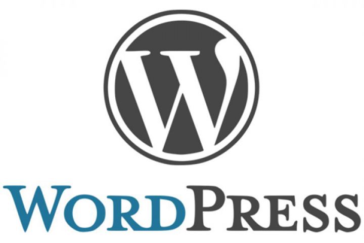 WordPress - создание доработка обновление PageSpeed SEO - 1496891