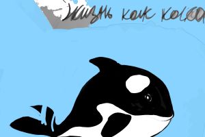 Без названия12_20210523170705