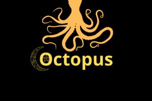 Octopus2