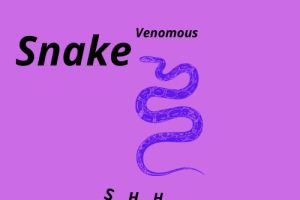 Добавить основной текст (2)