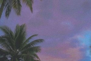 DE9211BB-D0F0-457E-B4C9-01E77D96E311