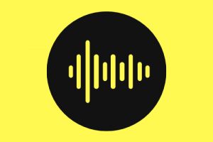 Звуковое восприят