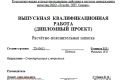 дипломный проект