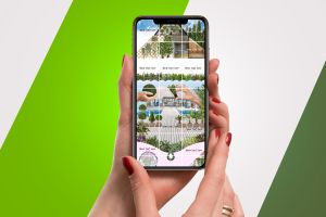 картинка растения 4