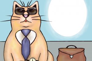 Деловой кот