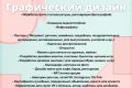 Графический дизайн