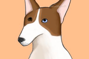 Без названия269_20210723190130