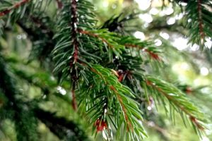 IMG_20210927_122337