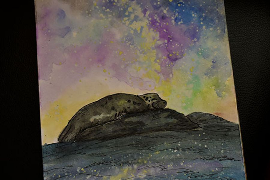Продаю: Рисунок в акварели "Спящий тюлень"