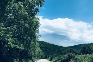 6EF0D754-C851-47CC-B37A-FB3FEC300F42