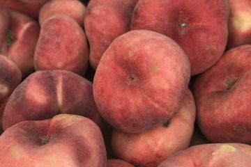 Фото (спелые персики)