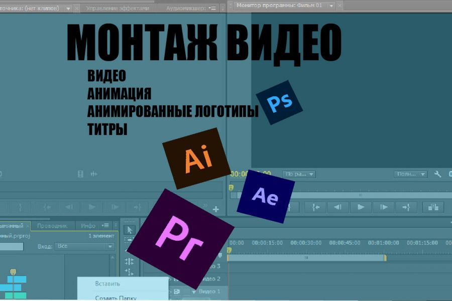 Делаю видеомонтаж, 2Д-анимацию 5 000 руб.  за 3 дня.. Анастасия Попова