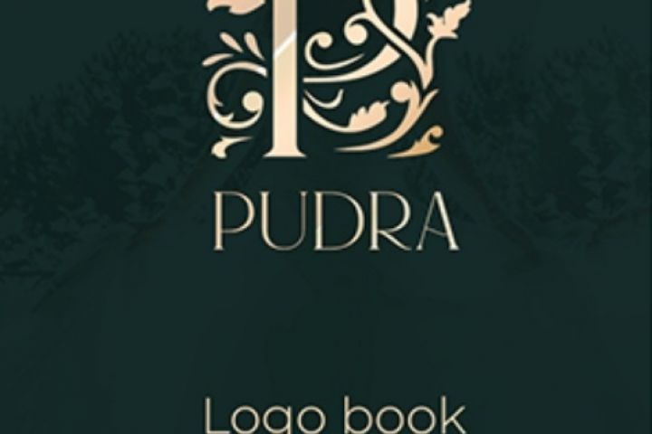 Создание/Доработка логотипов - 1576509