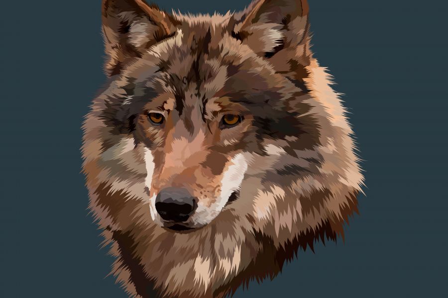 Продаю: the wolf's muzzle -   товар id:5284