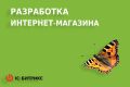Разработка интернет-магазина