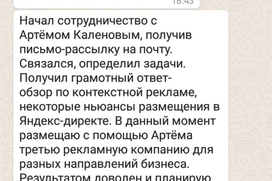 Настройка и ведение контекстной рекламы Яндекс Директ, AdWords Google 9 000 руб.  за 5 дней.. Артем Каленов