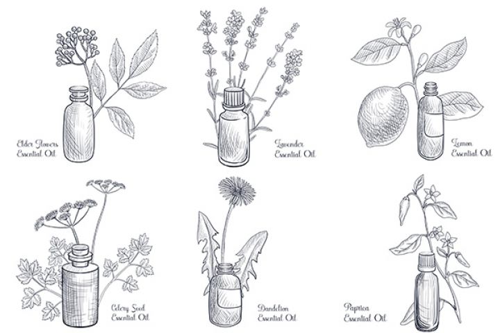 Векторная иллюстрация в винтажном стиле - 1609168