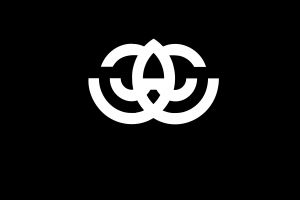 Монтажная область 2