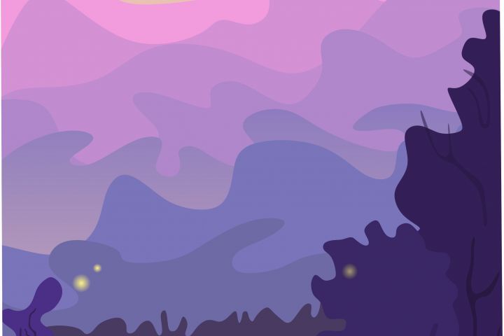 Векторная иллюстрация для сайта - 1629585