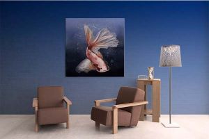 E3709E48-F900-4222-8C62-21B2B71CBF6A