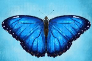 34FB9A7E-CE38-48B0-BAC6-1EAE42C37821