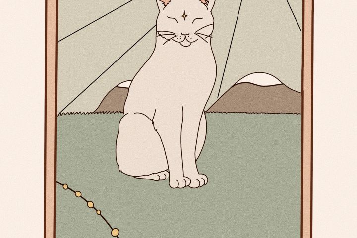 Нарисую карточки - 1652890