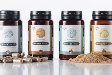 Дизайн этикетки